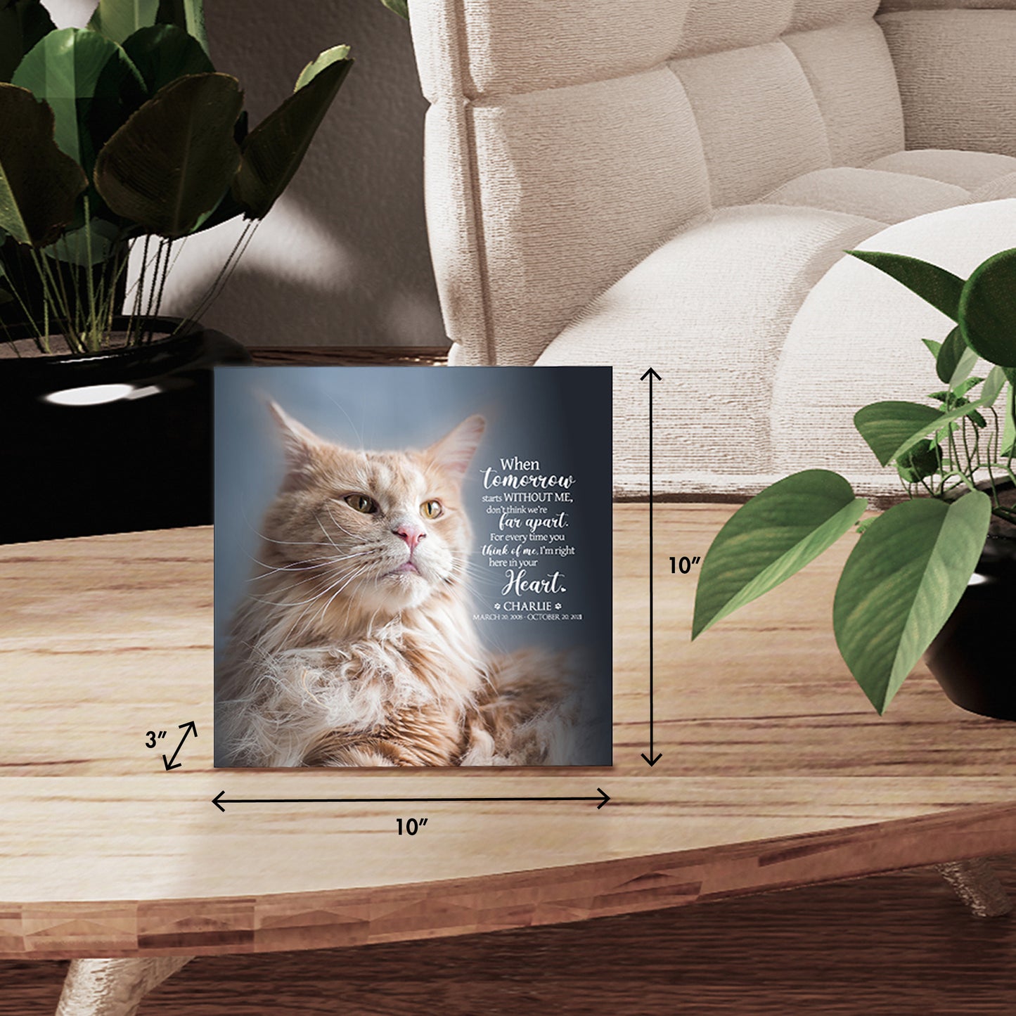 Personalized Memorial Cremation Urn Box for Pet Ashes