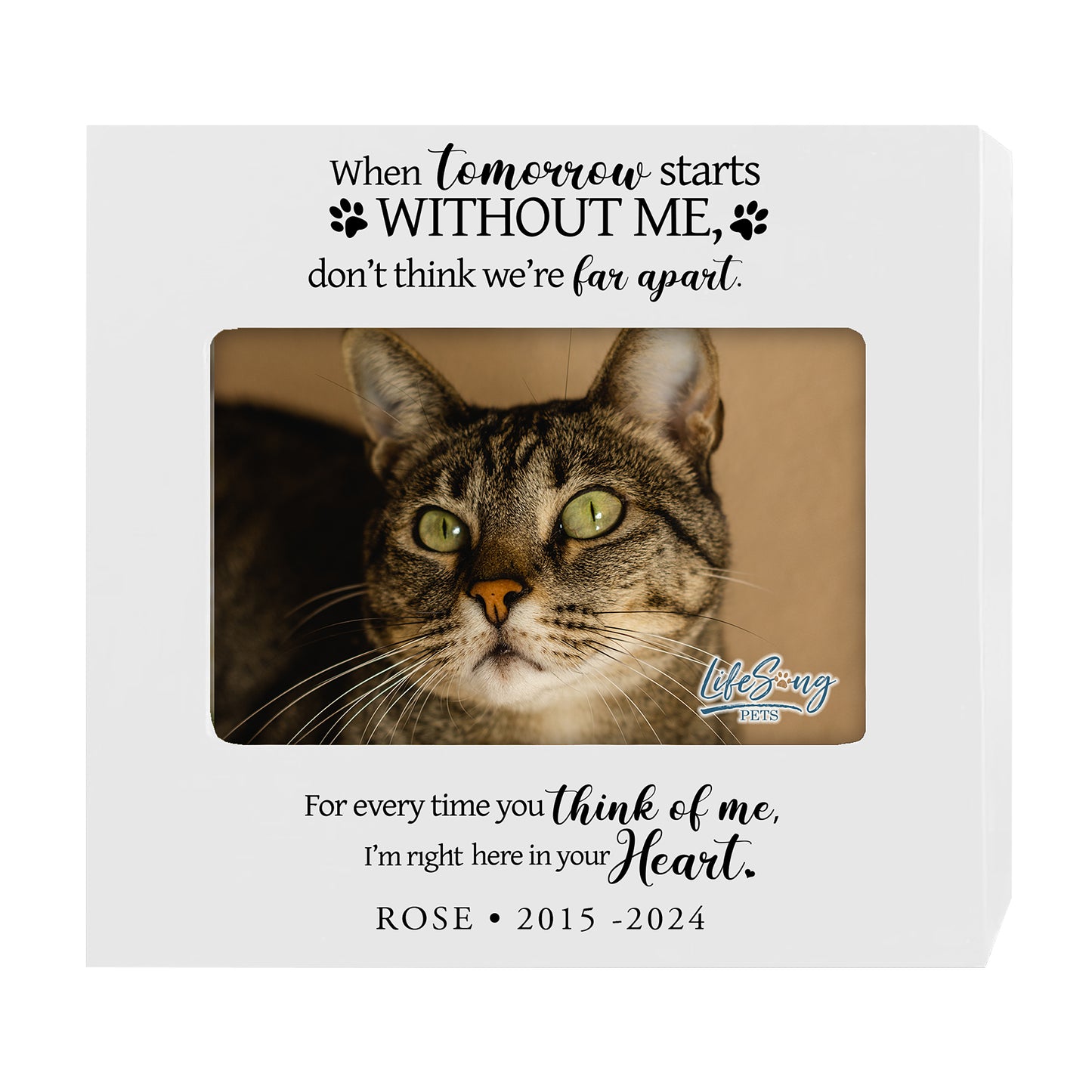 Personalized Wooden Pet Urn with Photo – Handcrafted Pet Remembrance Urn for Dogs & Cats - When Tomorrow Starts