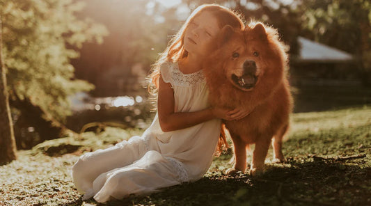 Helping Children Cope with Pet Loss: 8 Thoughtful Gifts Inspired by the Rainbow Bridge