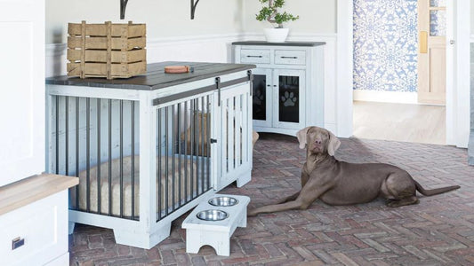 Elevate Your Home with Luxury Wooden Dog Crates That Your Pet Will Love