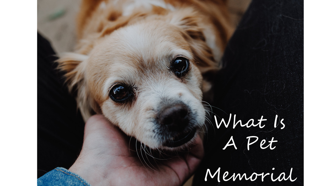 What is a Pet Memorial and How to Honor Your Beloved Pet?