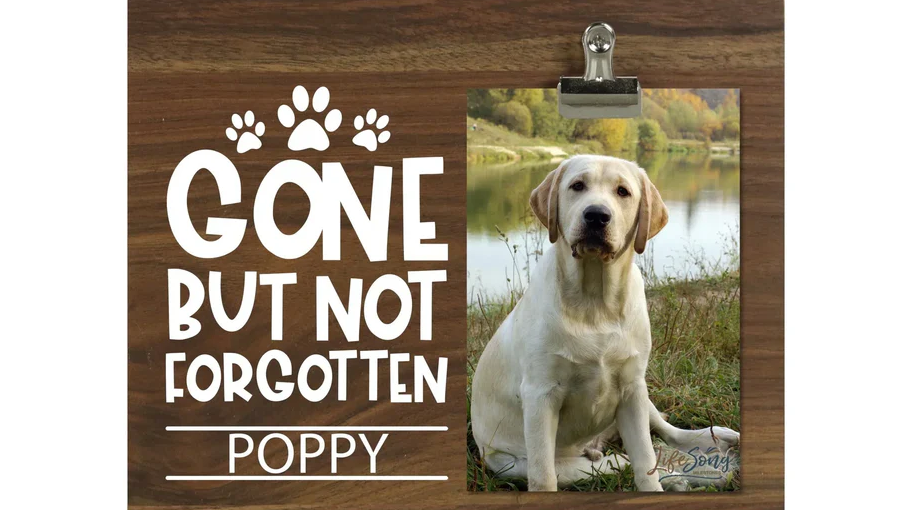 Well-Known Pet Memorials: Honoring Beloved Animal Companions