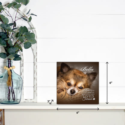 Memorial shadow box urn for pet ashes personalized photo