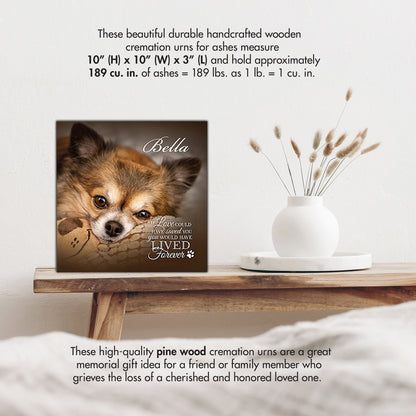 Memorial shadow box urn for pet ashes personalized photo