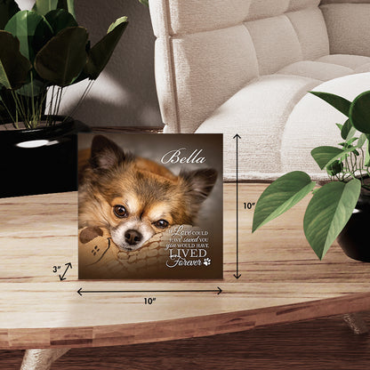 Memorial shadow box urn for pet ashes personalized photo