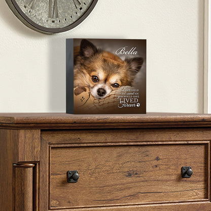 Memorial shadow box urn for pet ashes personalized photo