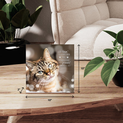 personalized cremation keepsake urns for pets