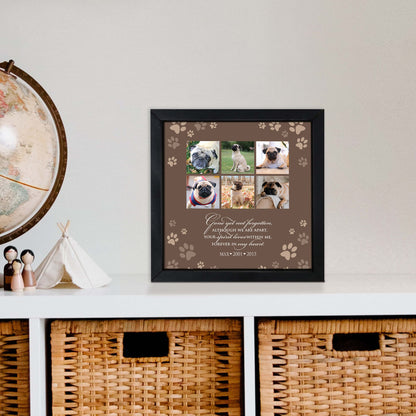 personalized pet framed art signs in loving memory of pet dog and cat