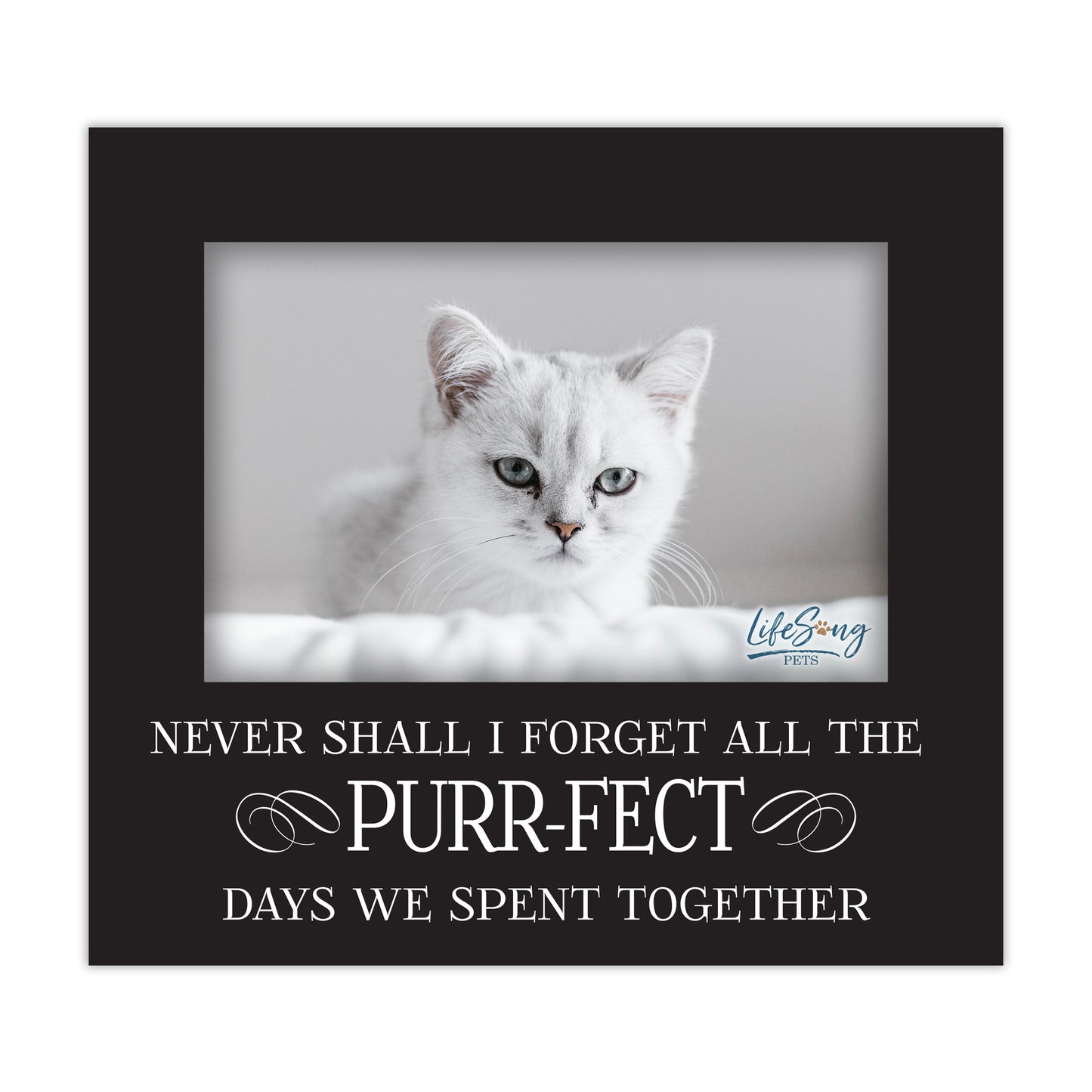 Pet Memorial Picture Frame – Beloved Dog or Cat Memories | Photo Frame Keepsake for Loss of Pet | Pet Remembrance Gift