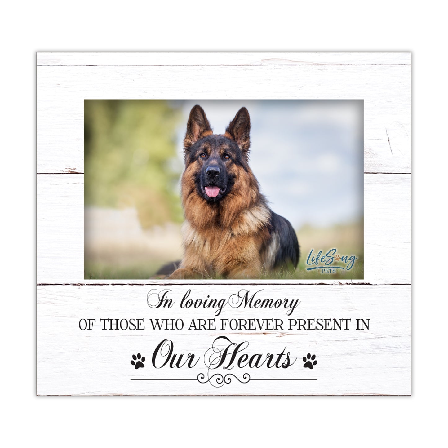 Pet Memorial Picture Frame – Beloved Dog or Cat Memories | Photo Frame Keepsake for Loss of Pet | Pet Remembrance Gift