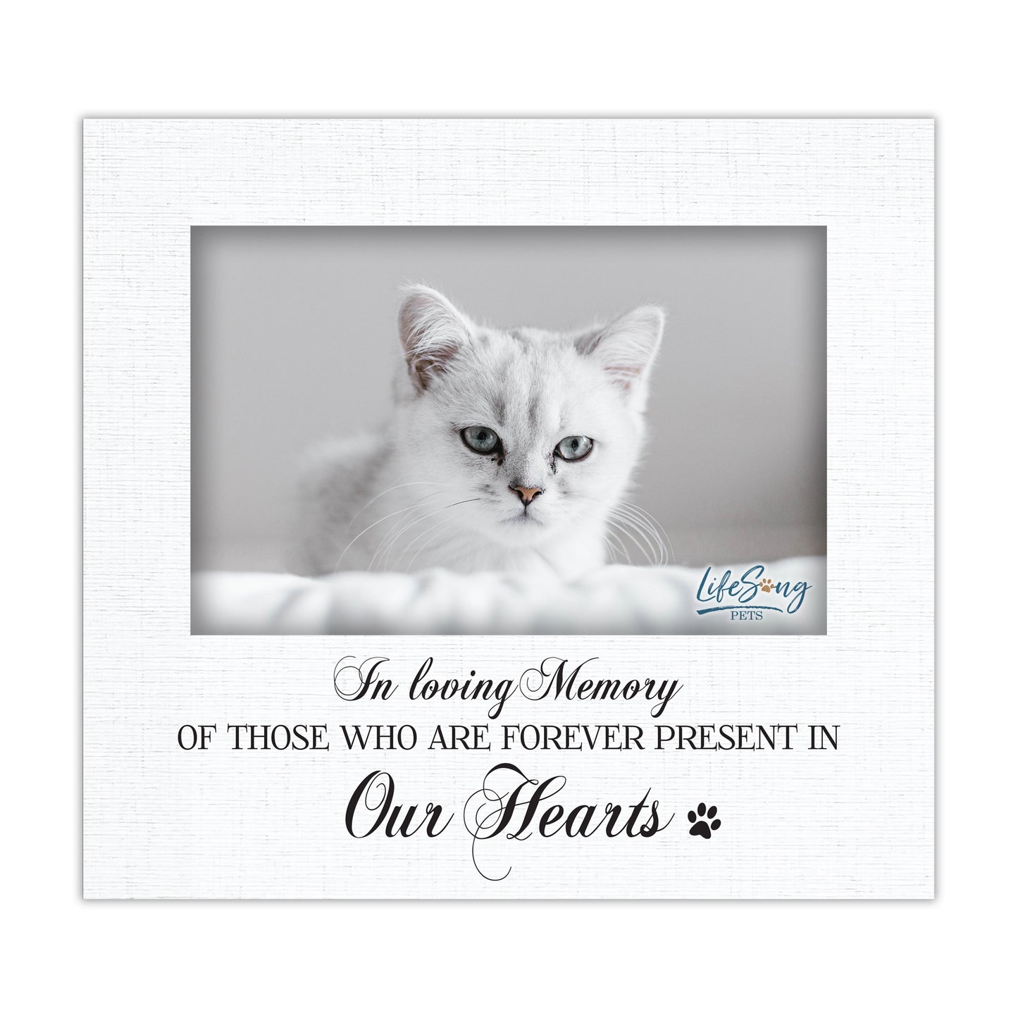 Pet Memorial Picture Frame – Beloved Dog or Cat Memories | Photo Frame Keepsake for Loss of Pet | Pet Remembrance Gift