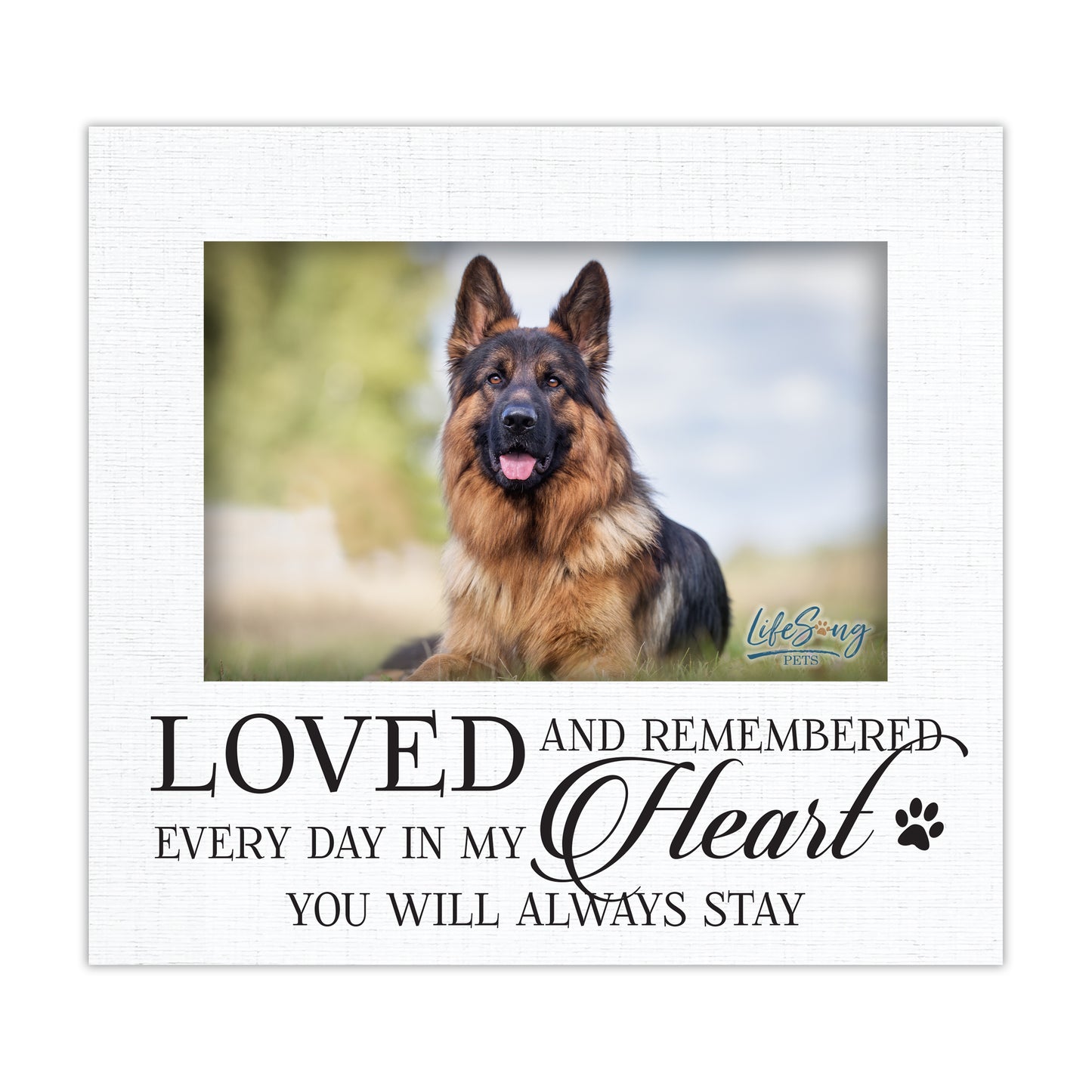 Pet Memorial Picture Frame – Beloved Dog or Cat Memories | Photo Frame Keepsake for Loss of Pet | Pet Remembrance Gift