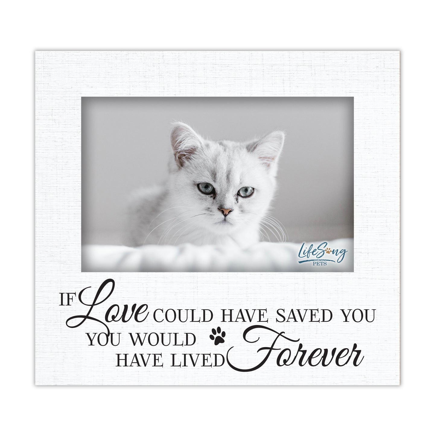 Pet Memorial Picture Frame – Beloved Dog or Cat Memories | Photo Frame Keepsake for Loss of Pet | Pet Remembrance Gift