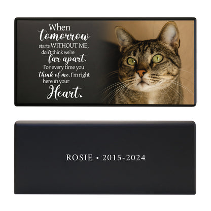 A black pet memorial urn box with a tabby cat image with a touching quote and a sleek black design.