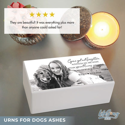 Personalized Pet Cremation Urn for Dogs and Cats - Gone Yet Not Forgotten
