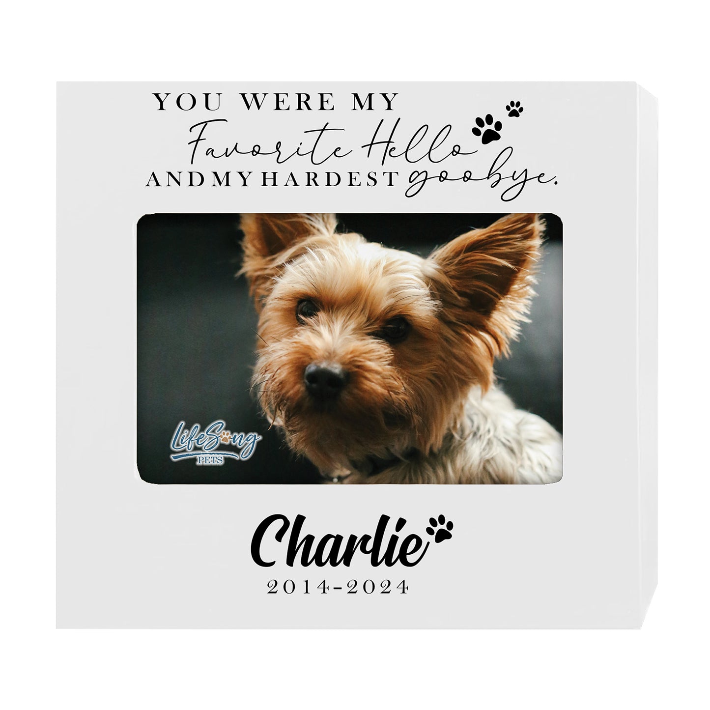 Personalized Wooden Pet Urn with Photo – Handcrafted Pet Remembrance Urn for Dogs & Cats - You Were My Favorite
