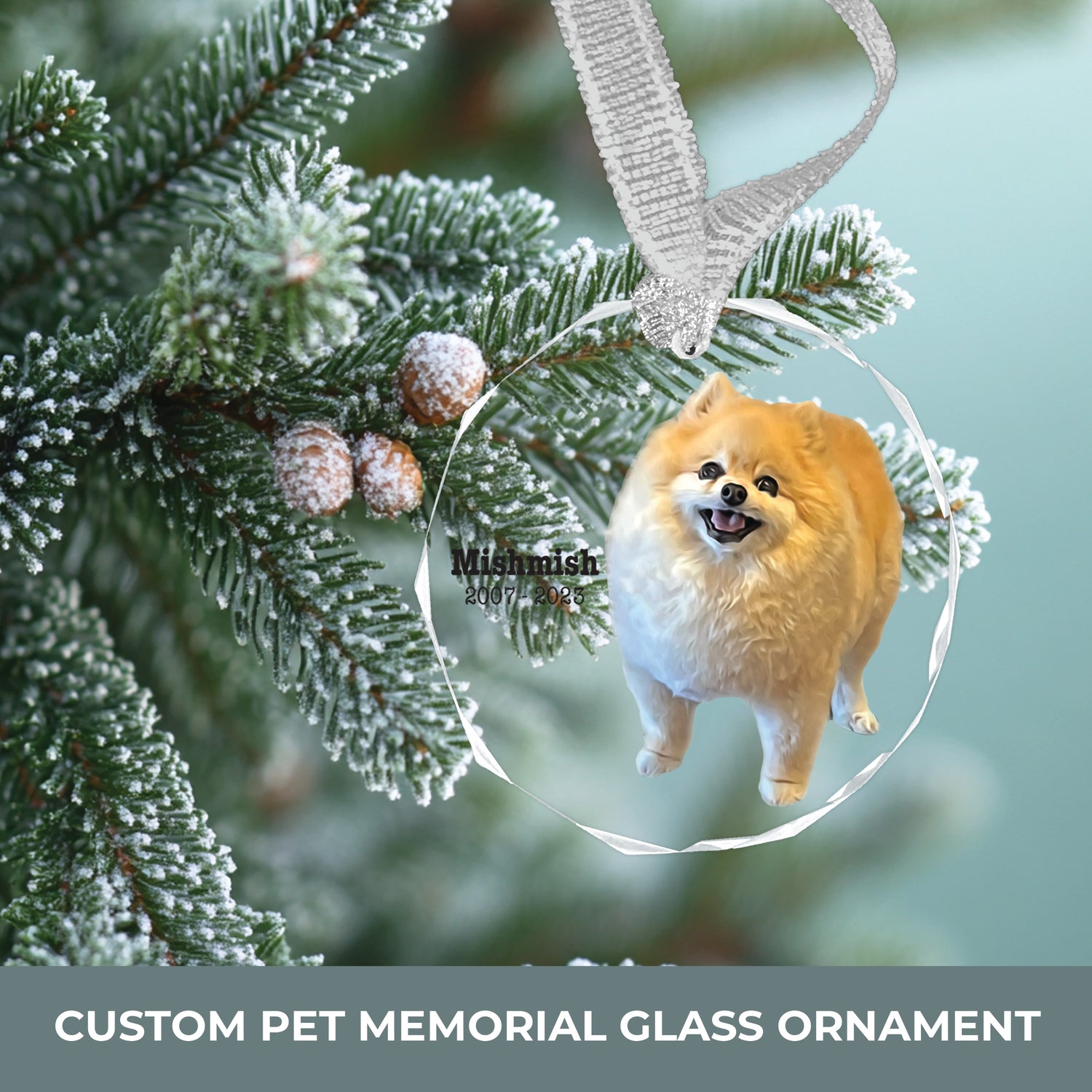 Custom Pet Memorial Glass Ornament