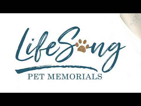 personalized cremation keepsake urns for pets